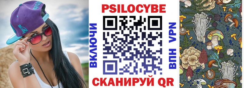 где можно купить   Меленки  Псилоцибиновые грибы Cubensis 